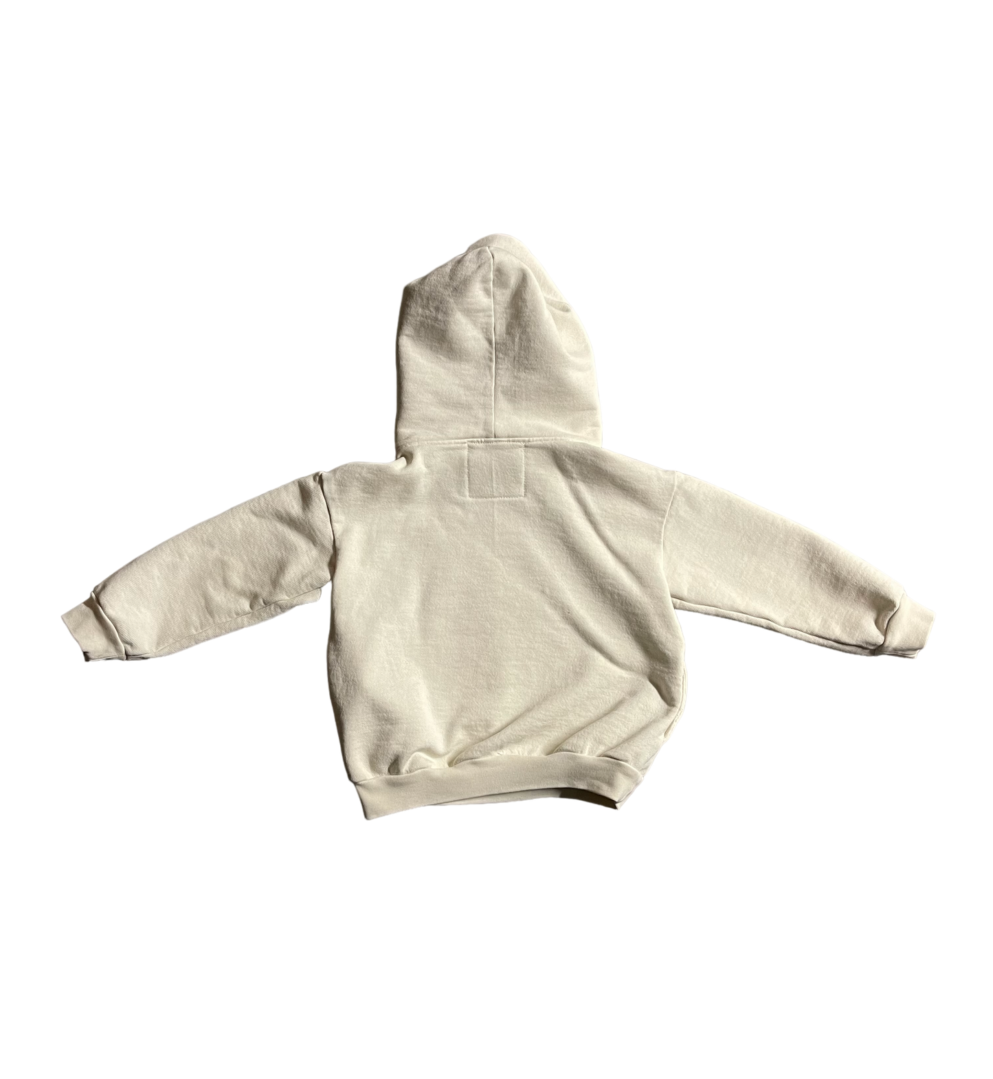 Youth Mascot Hoodie